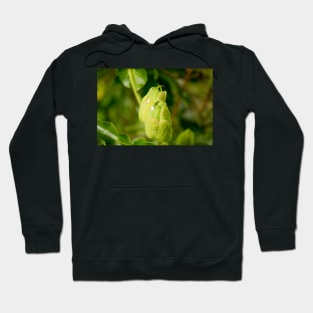 gli ready to bloom Hoodie